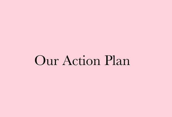 Our Action Plan