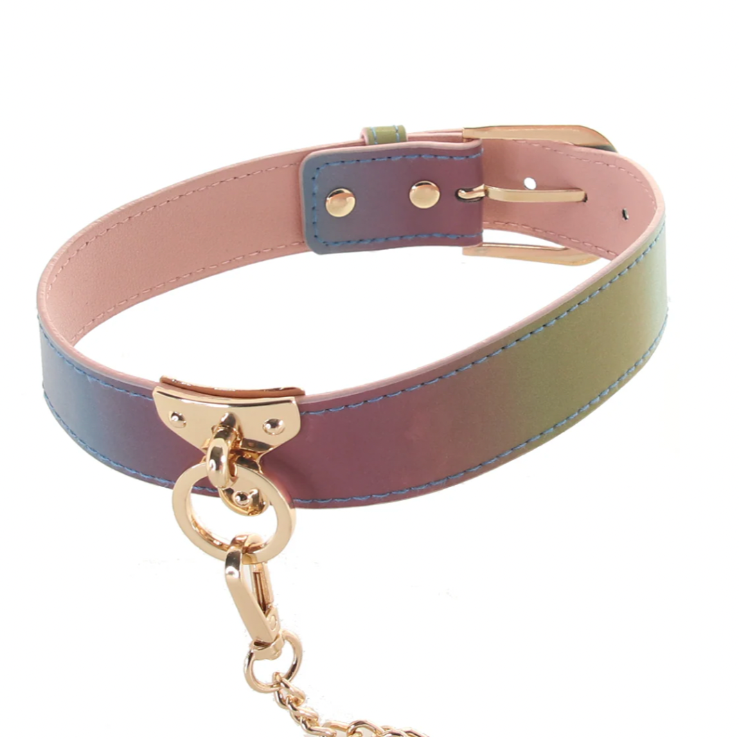 The Spectra Rainbow Collar & Leash Set